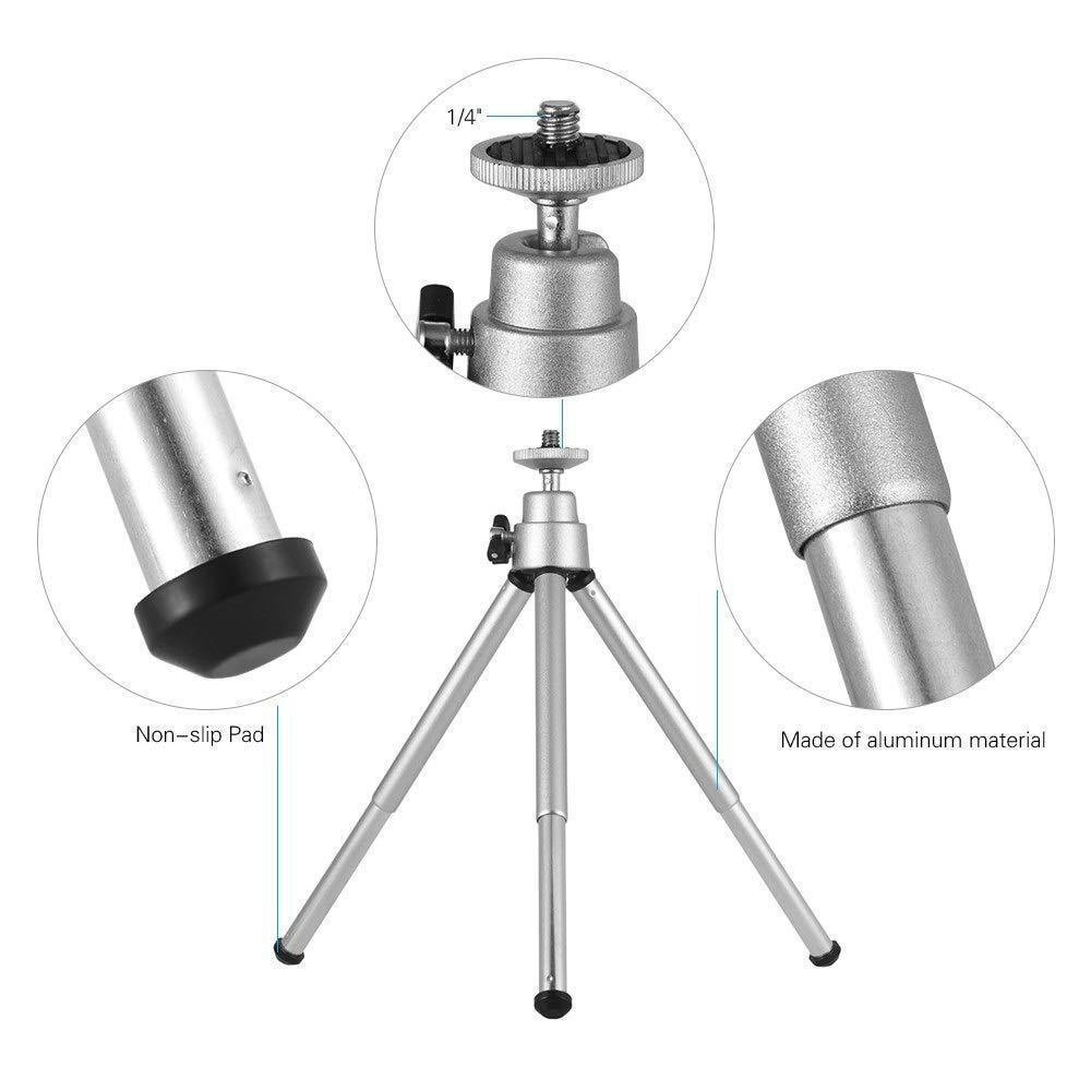 Portable Lantern Stand Outdoor - Camping Cooking Fish recension och pris
