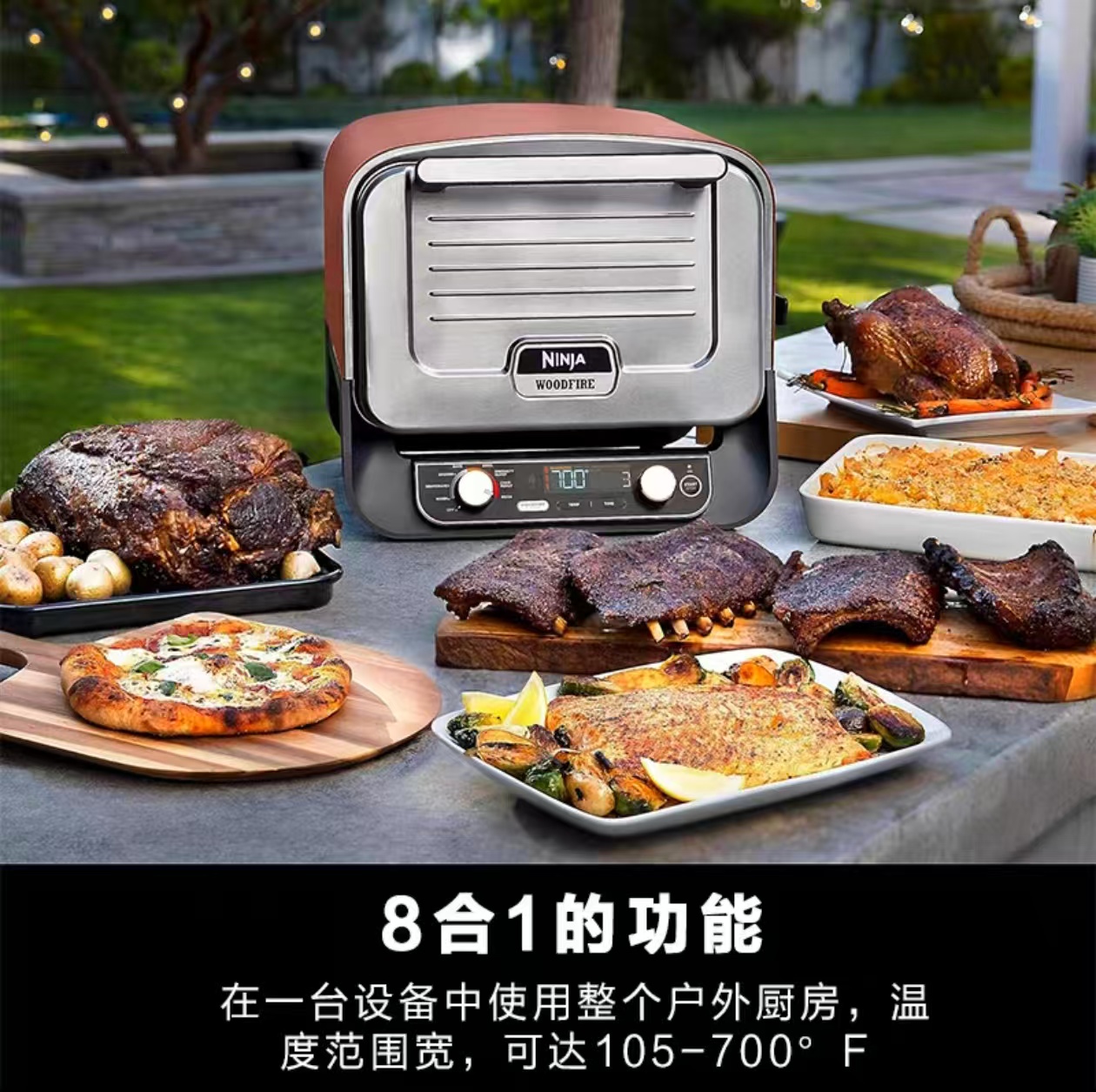 2026 Outdoor Pizza Oven for El - Camping Cooking Electric recension och pris