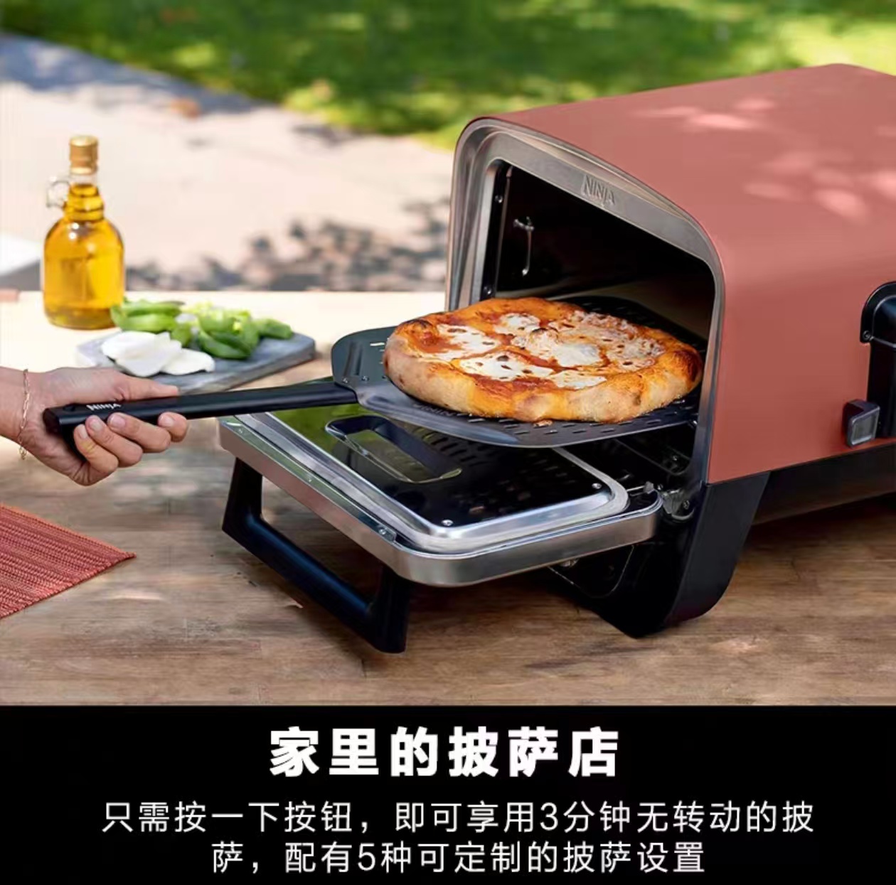 2026 Outdoor Pizza Oven for El - Camping Cooking Electric recension och pris