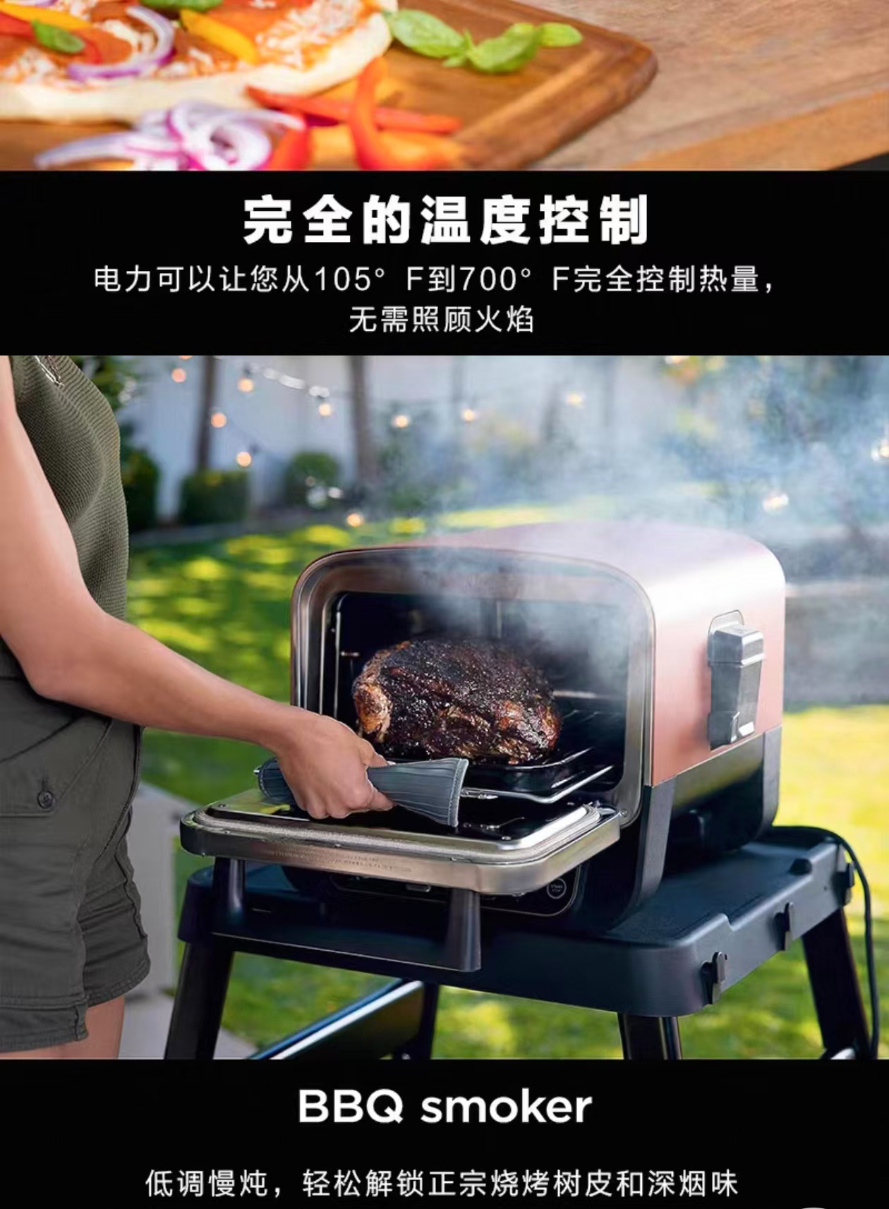 2026 Outdoor Pizza Oven for El - Camping Cooking Electric recension och pris